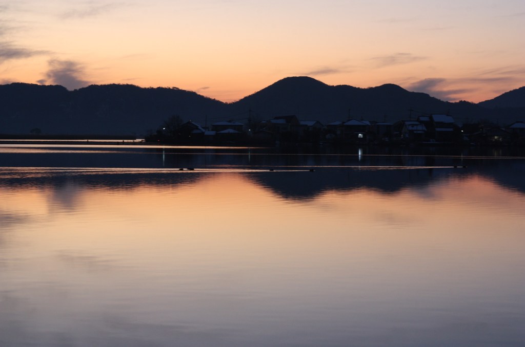 水鳥たちの夕暮れ