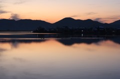 水鳥たちの夕暮れ