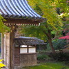 紅葉にはもう少しかな！