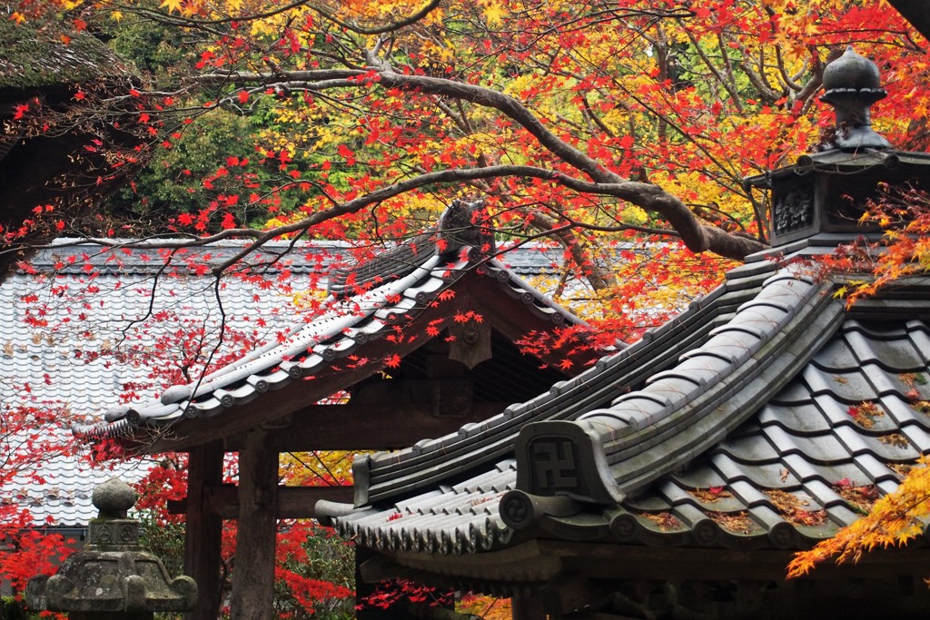 秋色の山寺