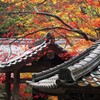 秋色の山寺