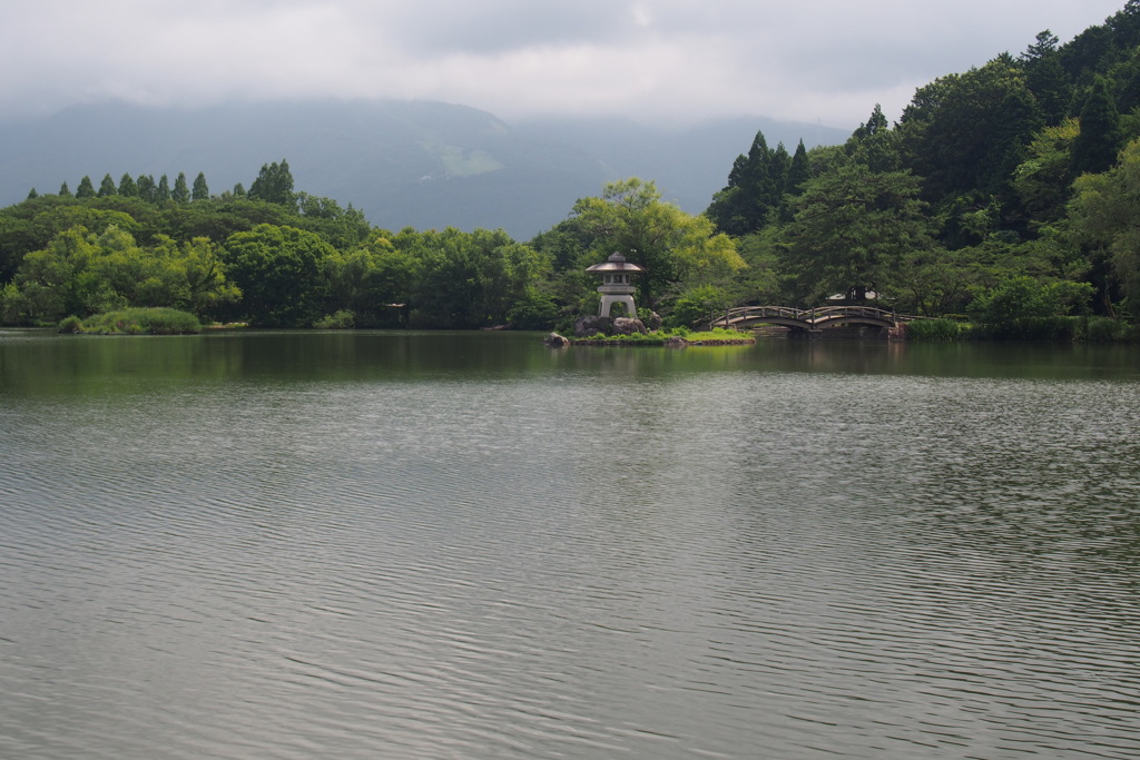 水鳥が消えた池