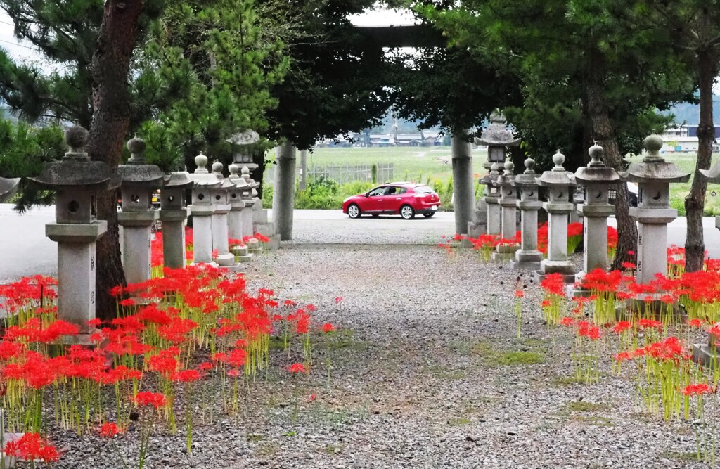 Red car　　