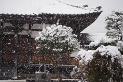 降り続いてます
