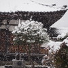 降り続いてます