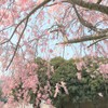 近くの公園