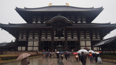 雨の東大寺
