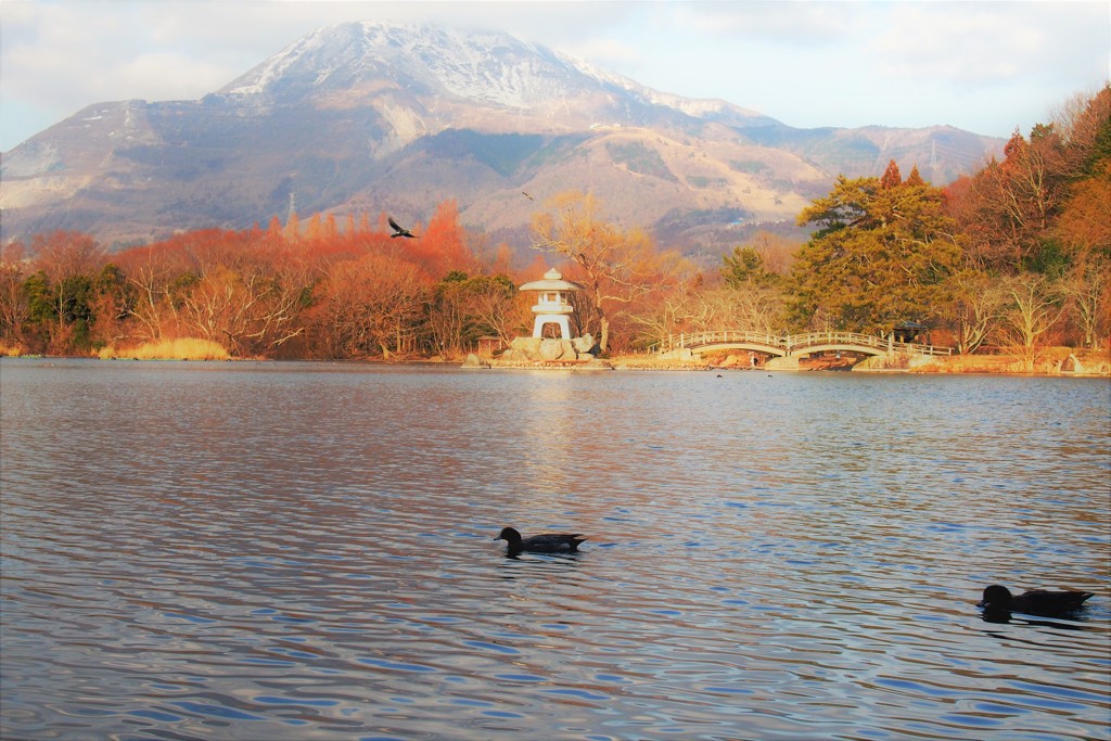 三島池からの伊吹山