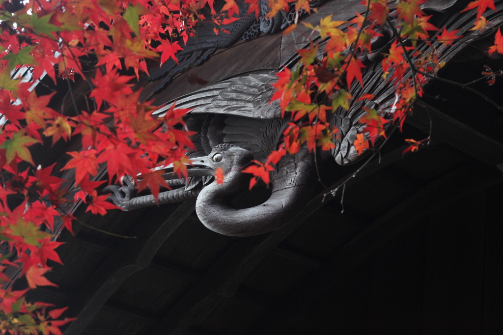 火の鳥…？②