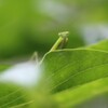 何か御用ですか？