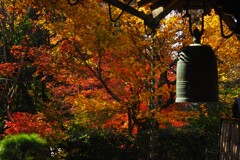 紅葉の寺院