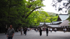 新緑の伊勢神宮