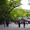 新緑の伊勢神宮