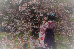 京都の女学生