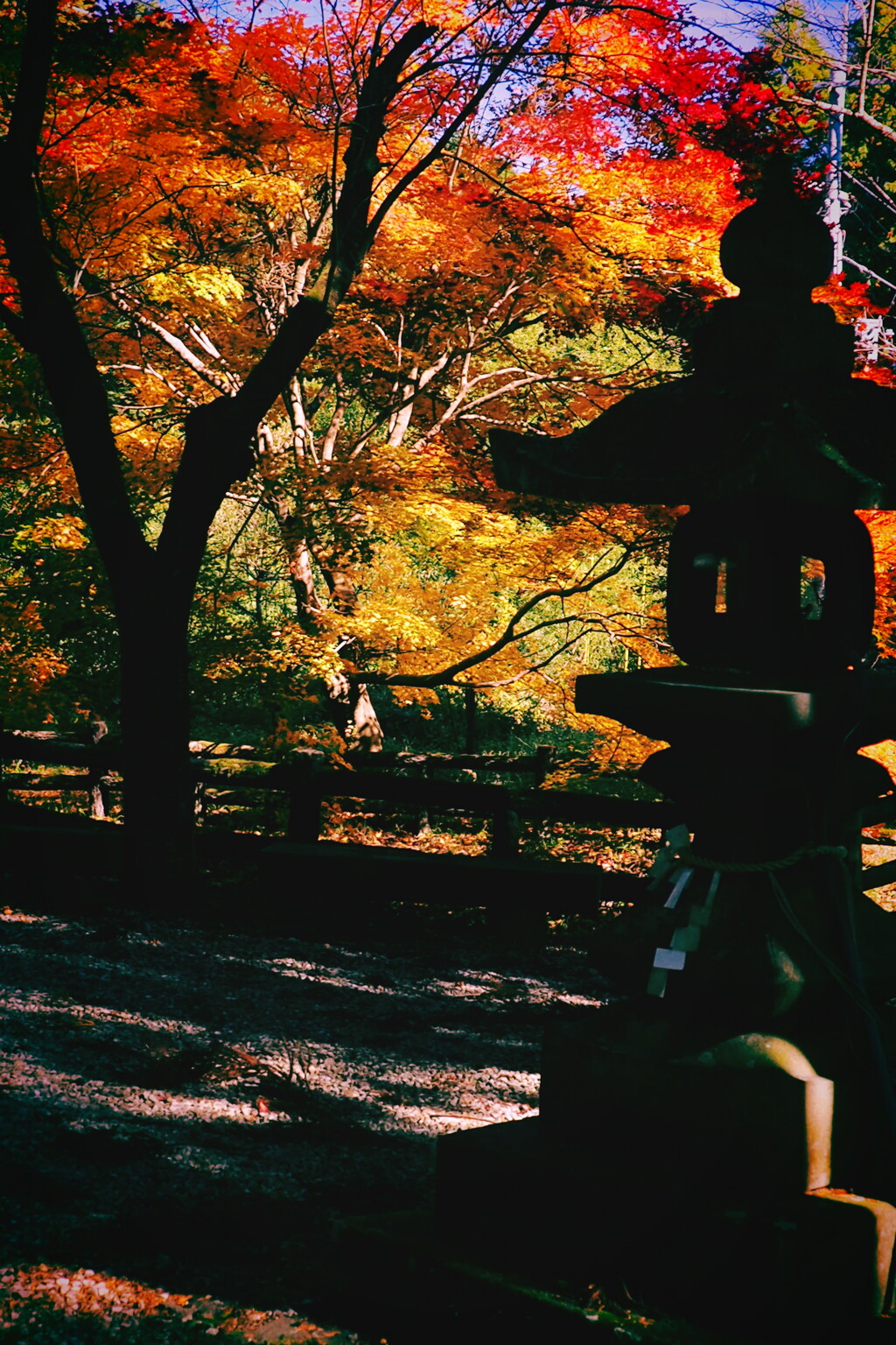 境内の紅葉