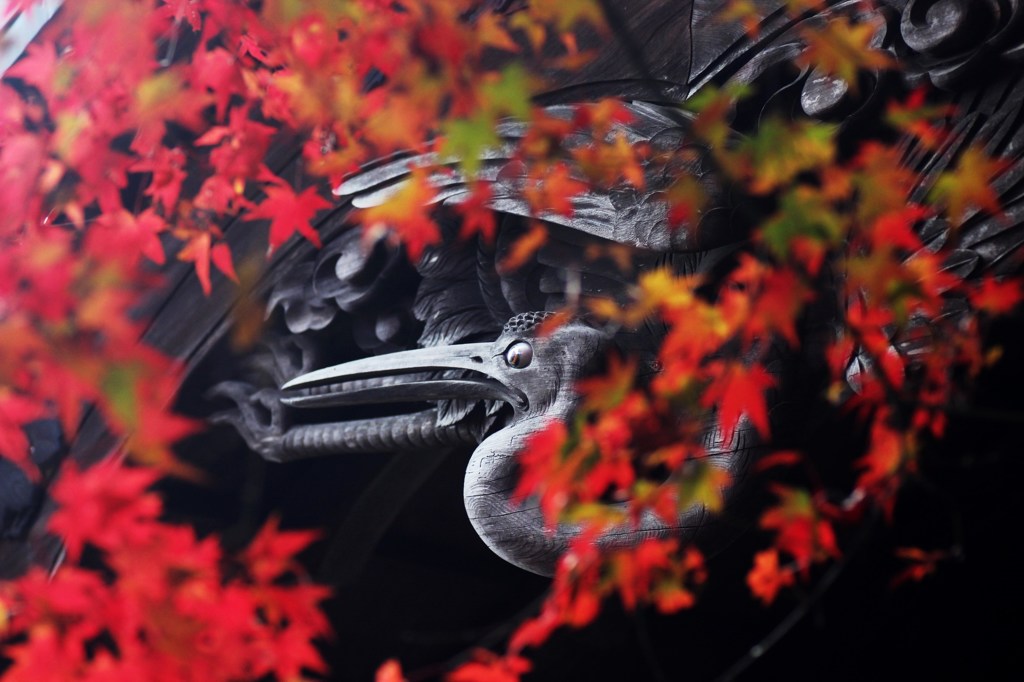 火の鳥…？