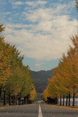 近くの高校の校門から校舎への通路です。