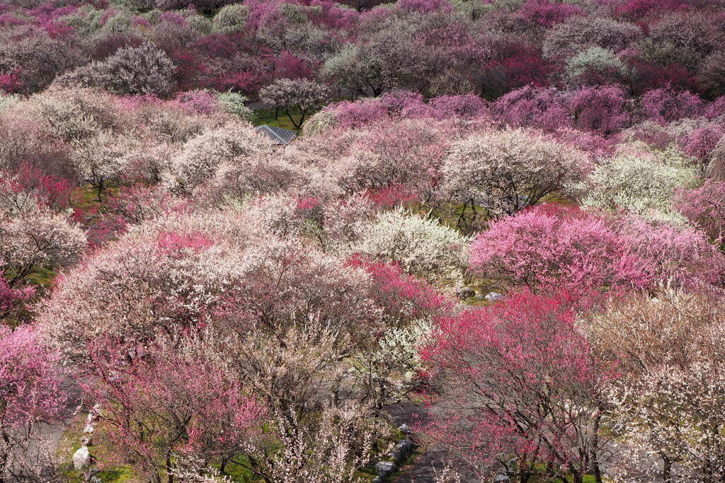 見晴らし台から
