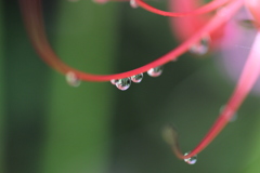 水滴①