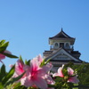 長浜城の春