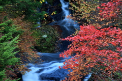 日光竜頭の滝の紅葉　2013