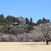 お散歩