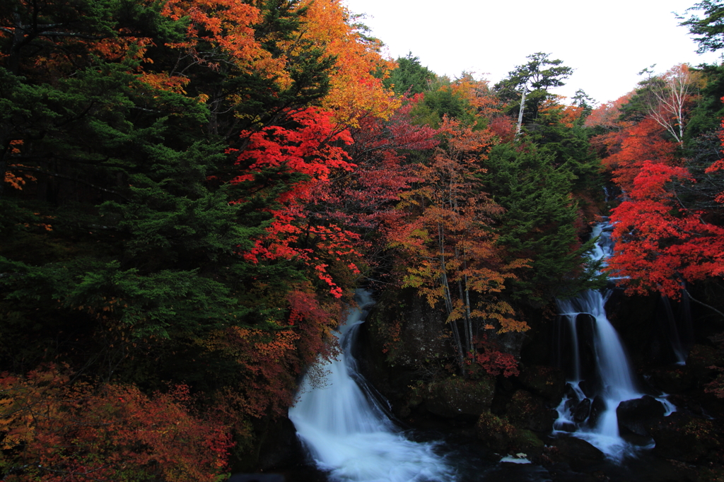竜頭の滝の景色