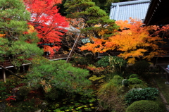 南禅寺永観堂