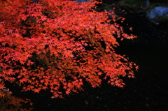 昇仙峡レッド