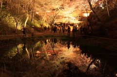 高遠城址公園の夜桜