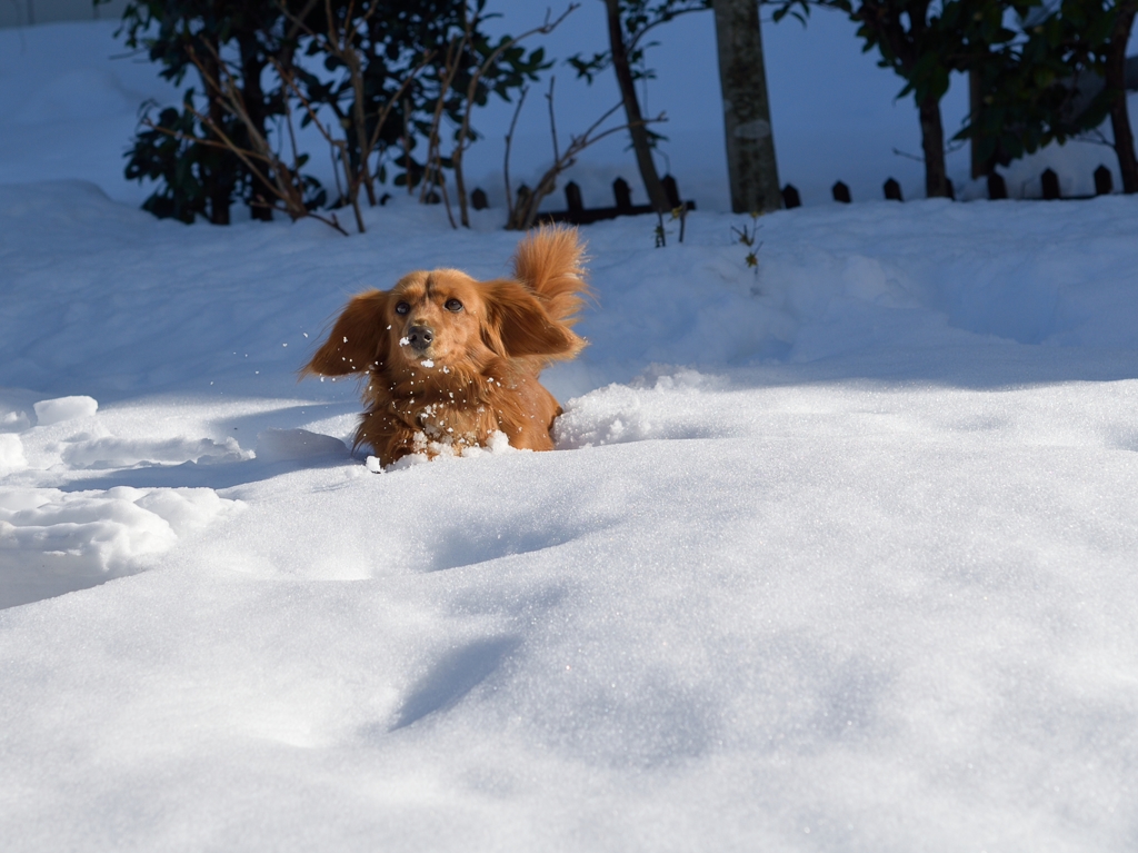 雪遊び