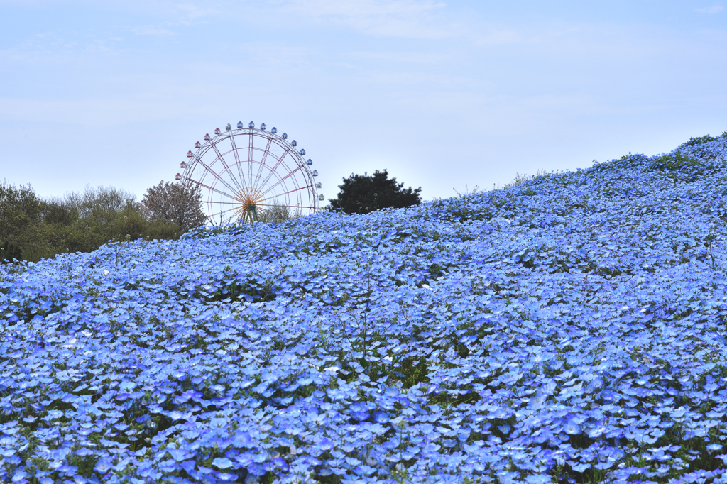 Blue World