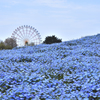 Blue World
