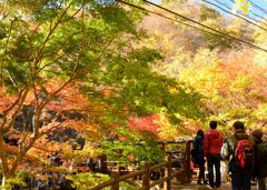 花貫渓谷 汐見滝吊り橋