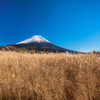 富士山とすすき