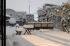 雪の夜の庭