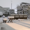 雪の夜の庭