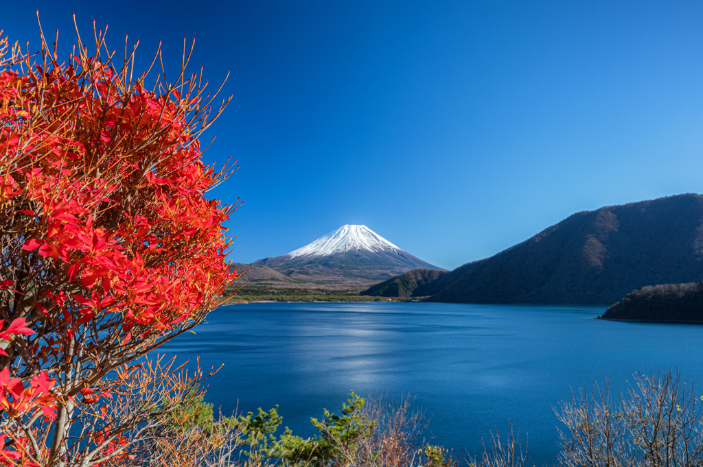 本栖湖富士