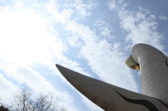 太陽に羽を広げて（15・03・21万博記念公園）