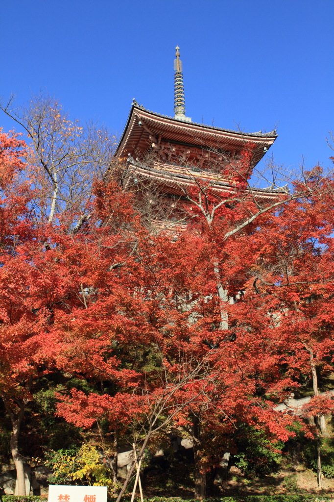 清水塔（12・11・25）