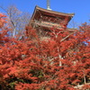 清水塔（12・11・25）