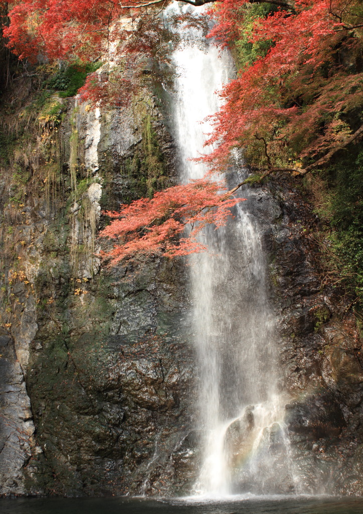 名瀑『箕面大滝』