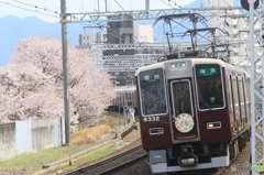 名撮影地も被られた…