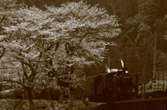 家山桜と汽車の道（セピア。14・03・28大和田～家山間）