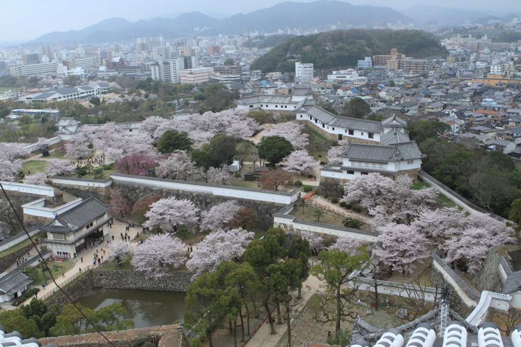 西の丸御殿方向を見下ろし（姫路城天守より）