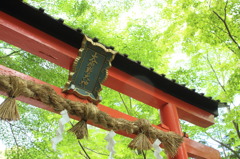 鳥居かぶさり（13・05・20大原野神社）