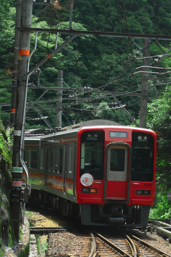 秘境駅で対向中（14・07・04紀伊細川）