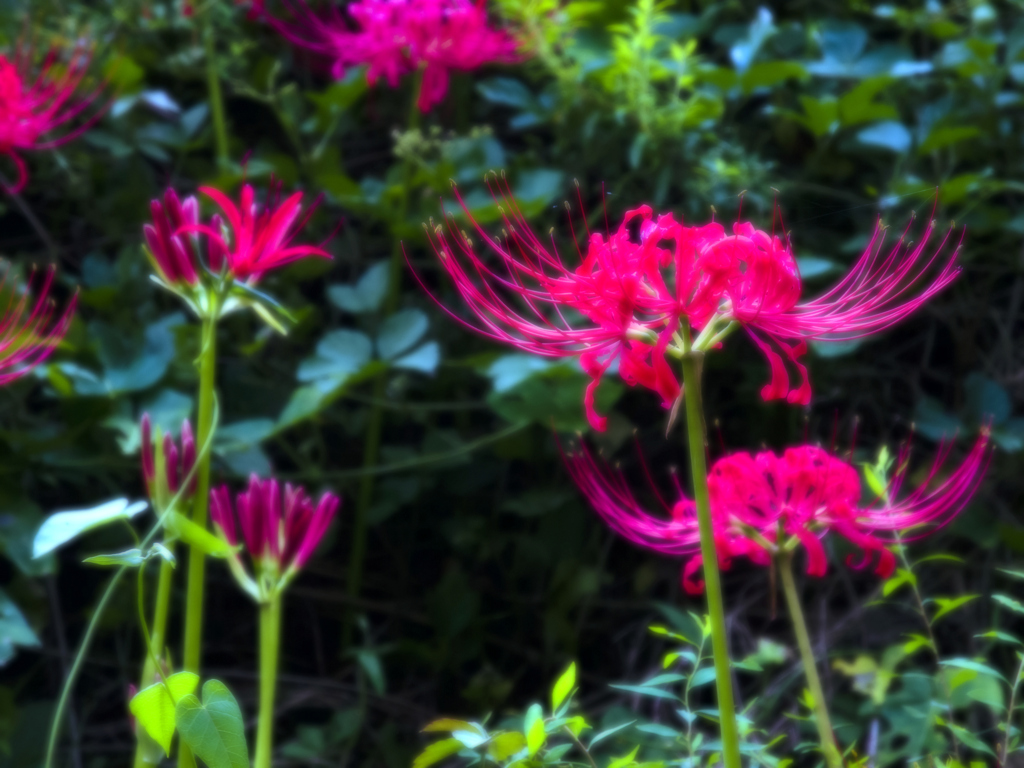 DSCN1459-2