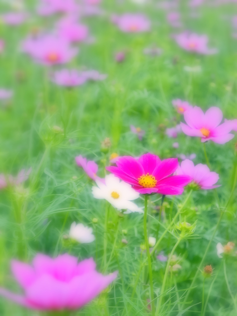 DSCN1482-2