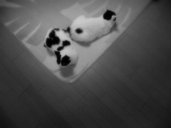 それぞれの想い